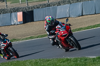 brands-hatch-photographs;brands-no-limits-trackday;cadwell-trackday-photographs;enduro-digital-images;event-digital-images;eventdigitalimages;no-limits-trackdays;peter-wileman-photography;racing-digital-images;trackday-digital-images;trackday-photos